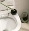 toilet brush with handle